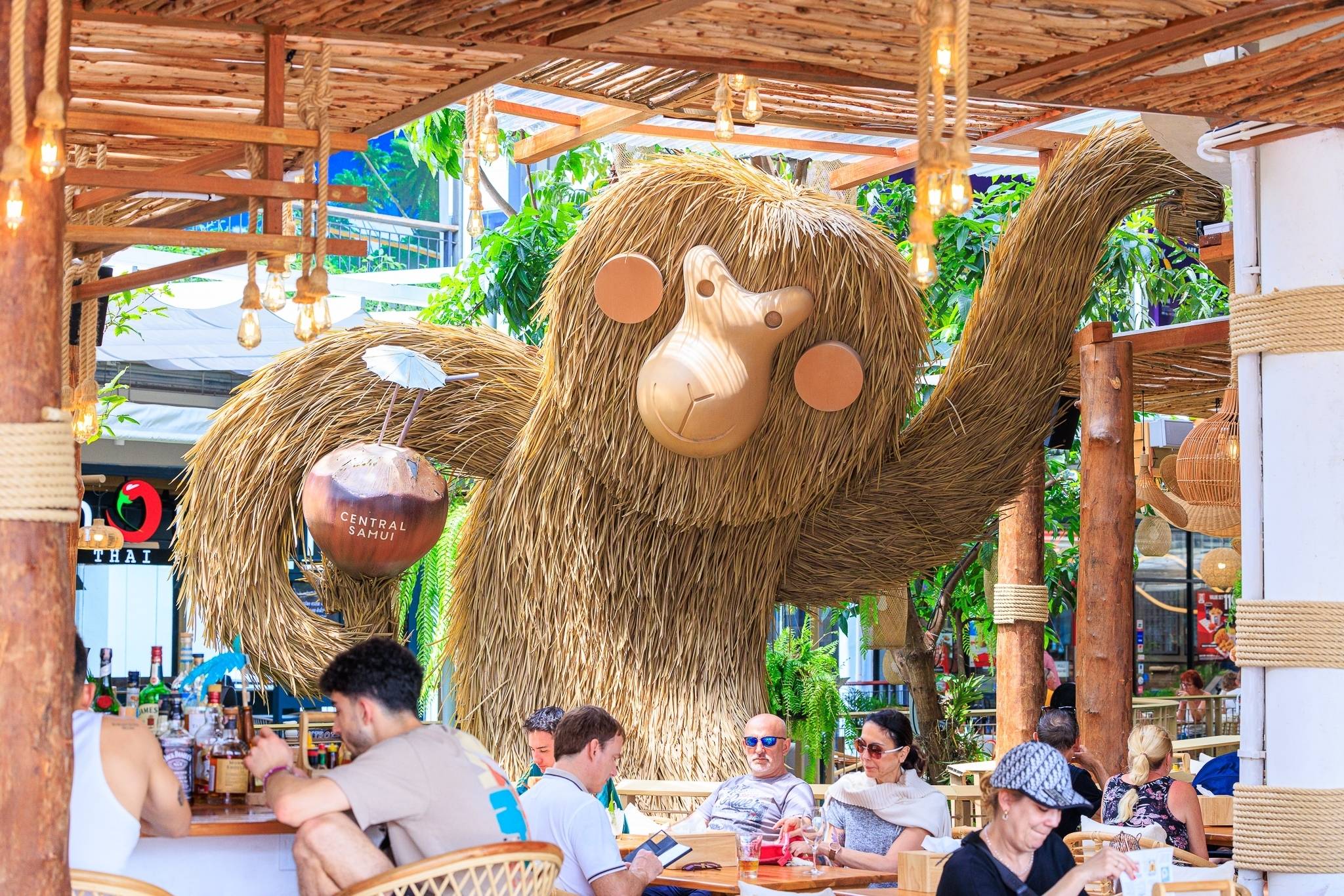 MONKEY HOUSE 2