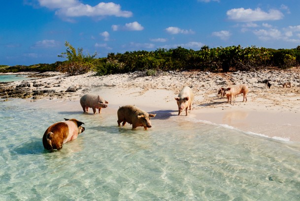 KOH MADSUM: A HIDDEN PARADISE AWAITS